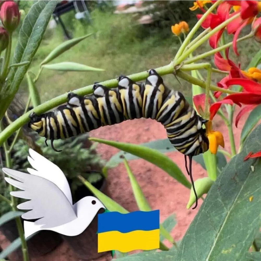 mlbflier.bsky.social's profile picture