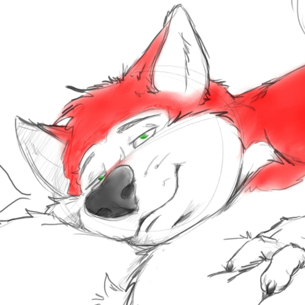 tonerhuskart.bsky.social's profile picture