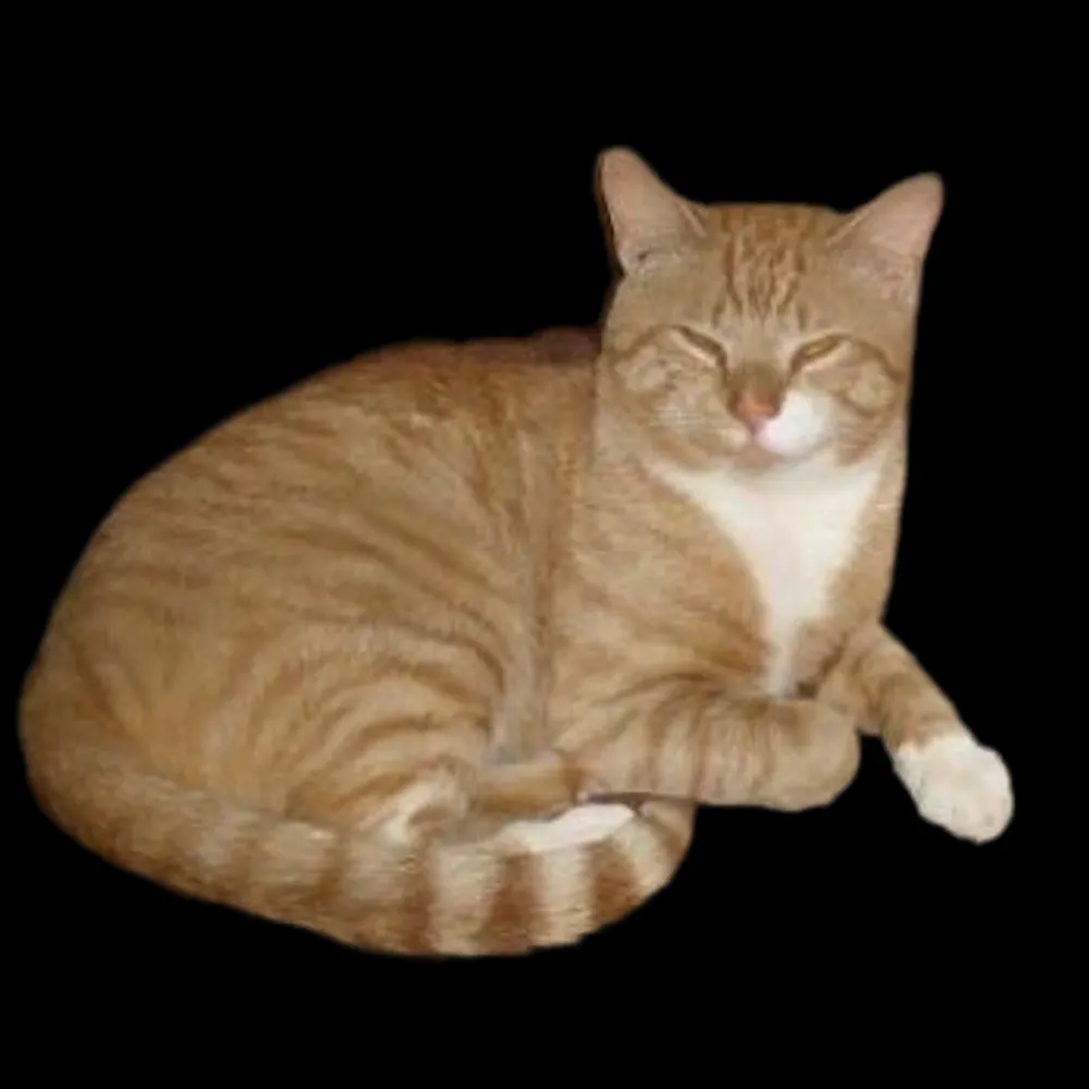 fritzdrybeam.bsky.social's profile picture