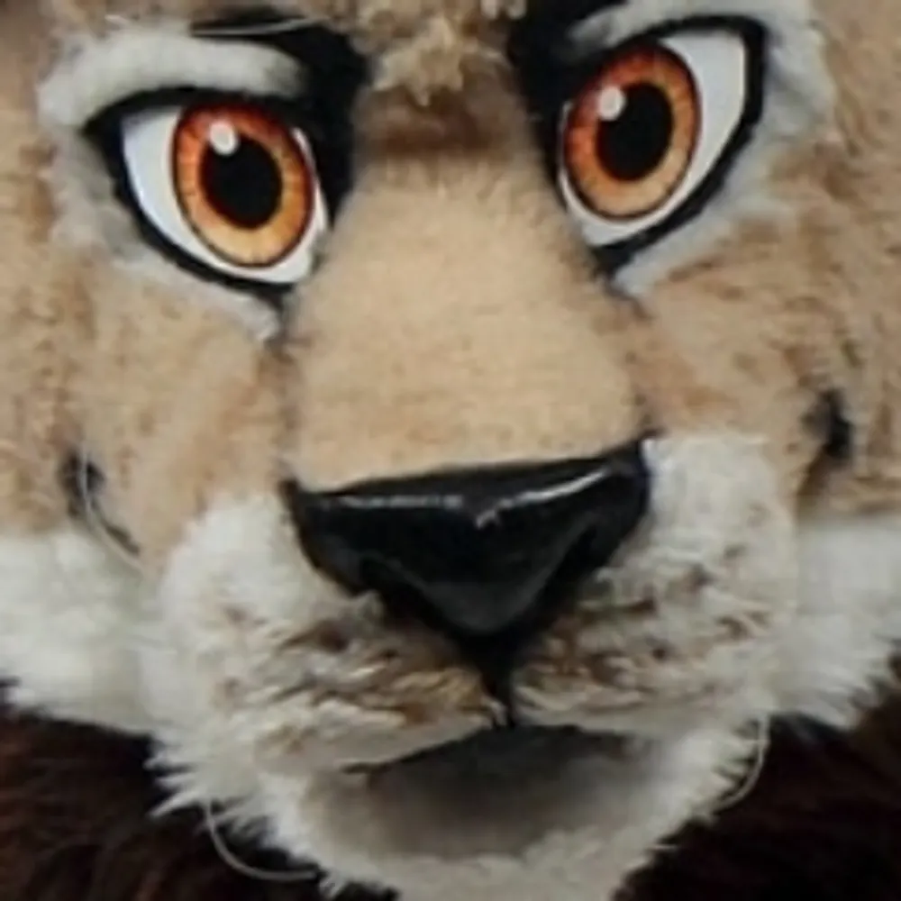 jatolion.bsky.social's profile picture