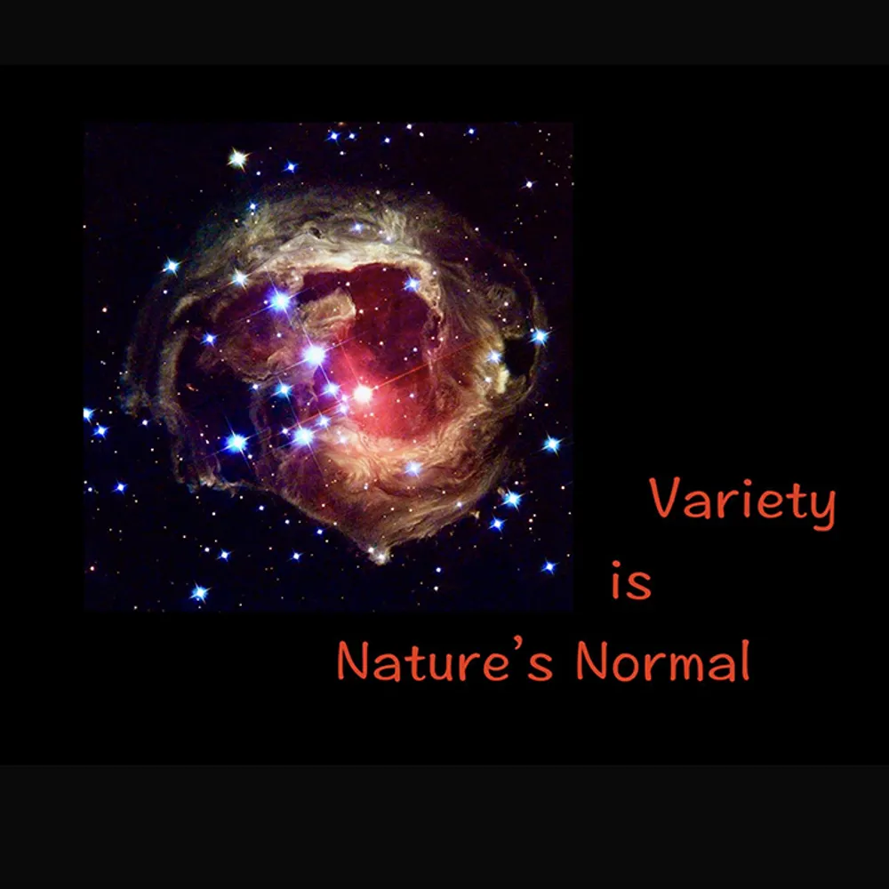 pcalico.eurosky.social's profile picture