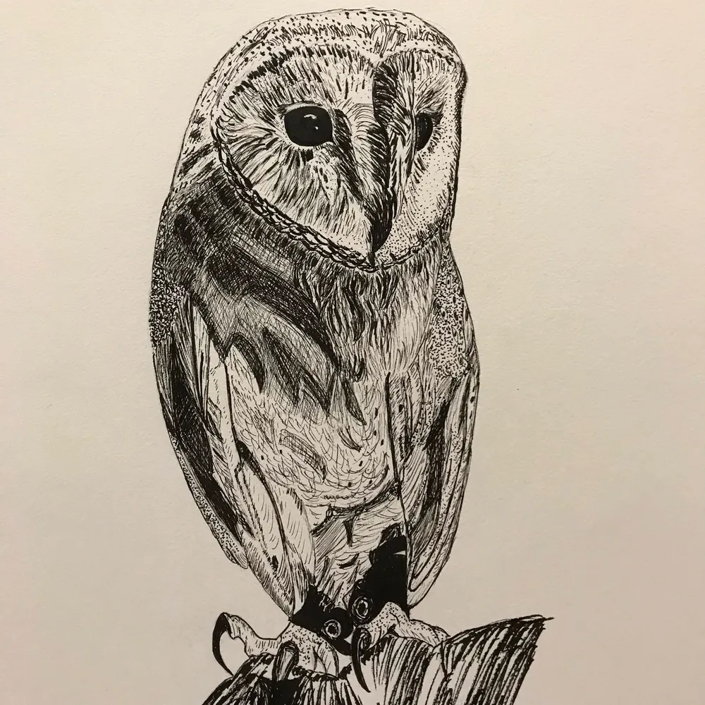 addledpixie.bsky.social's profile picture