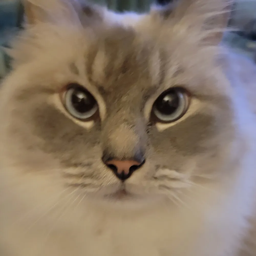 julzvc.bsky.social's profile picture