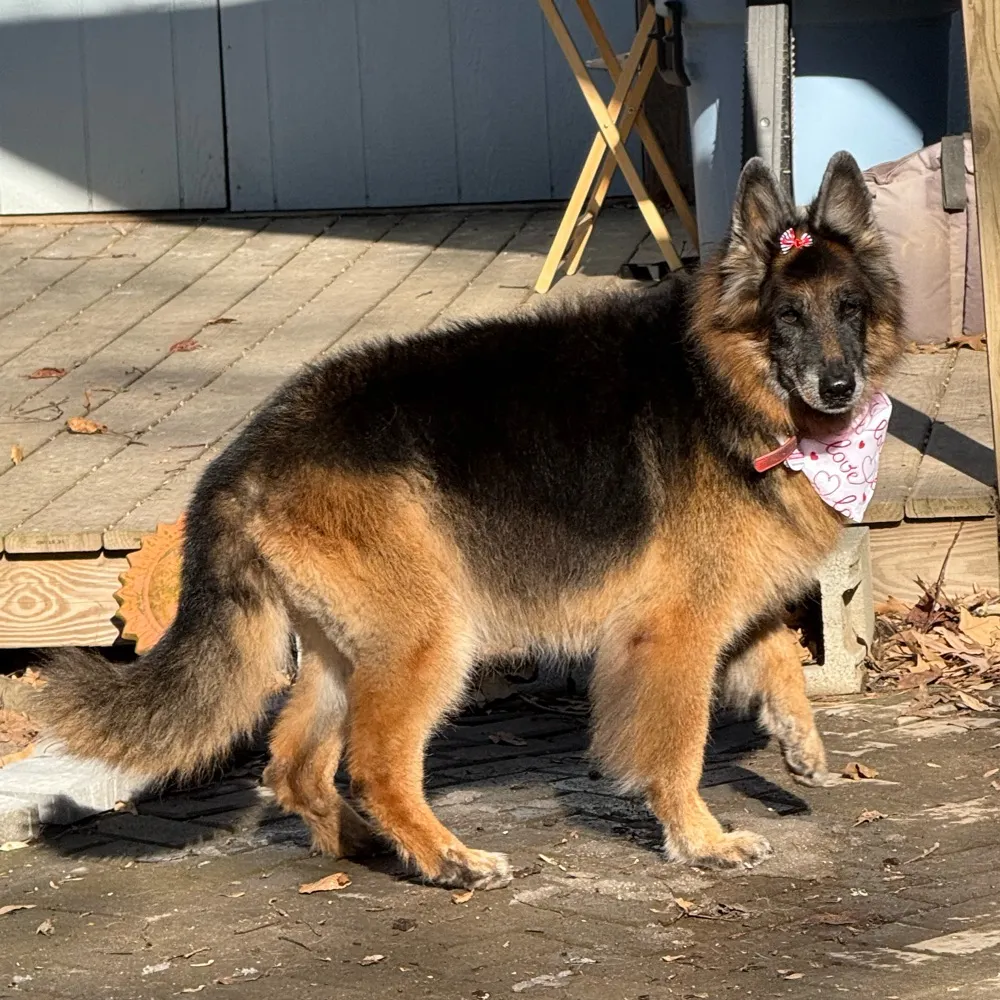 cregardener.bsky.social's profile picture