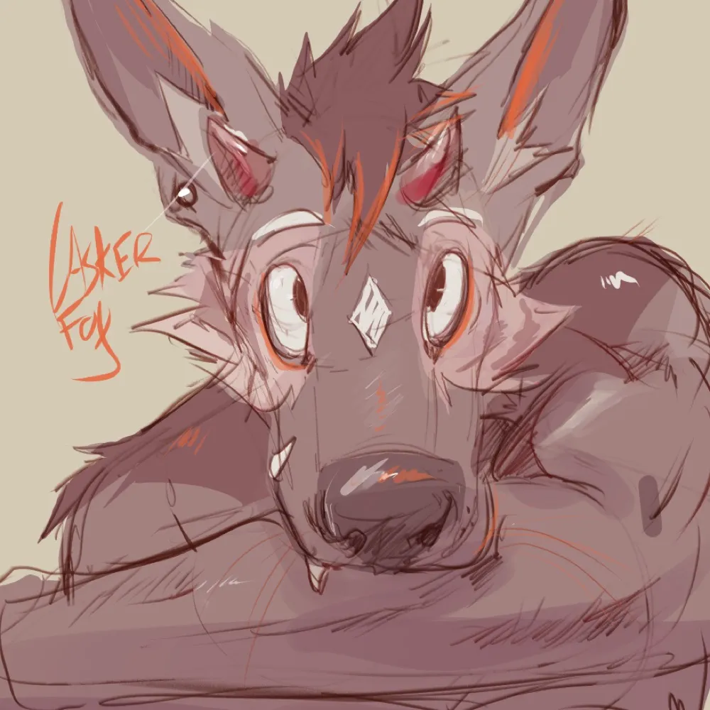 doggetto.bsky.social's profile picture