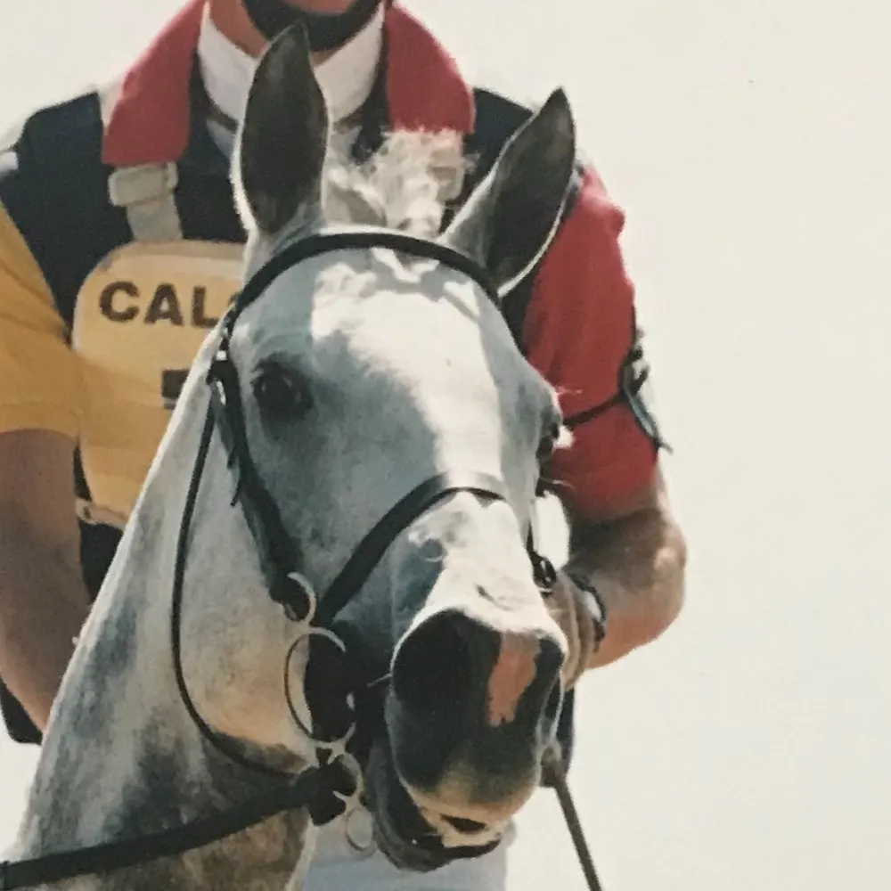 paullr.bsky.social's profile picture