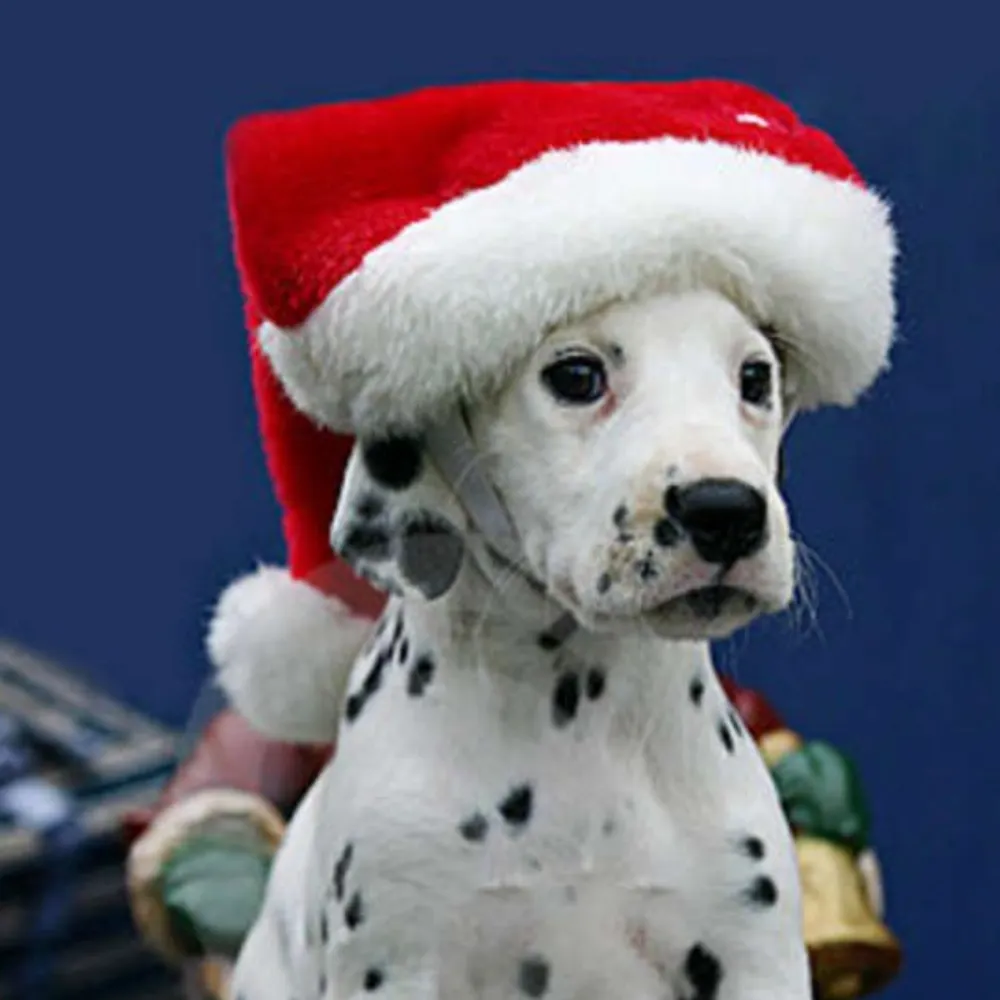 lexximagic.bsky.social's profile picture