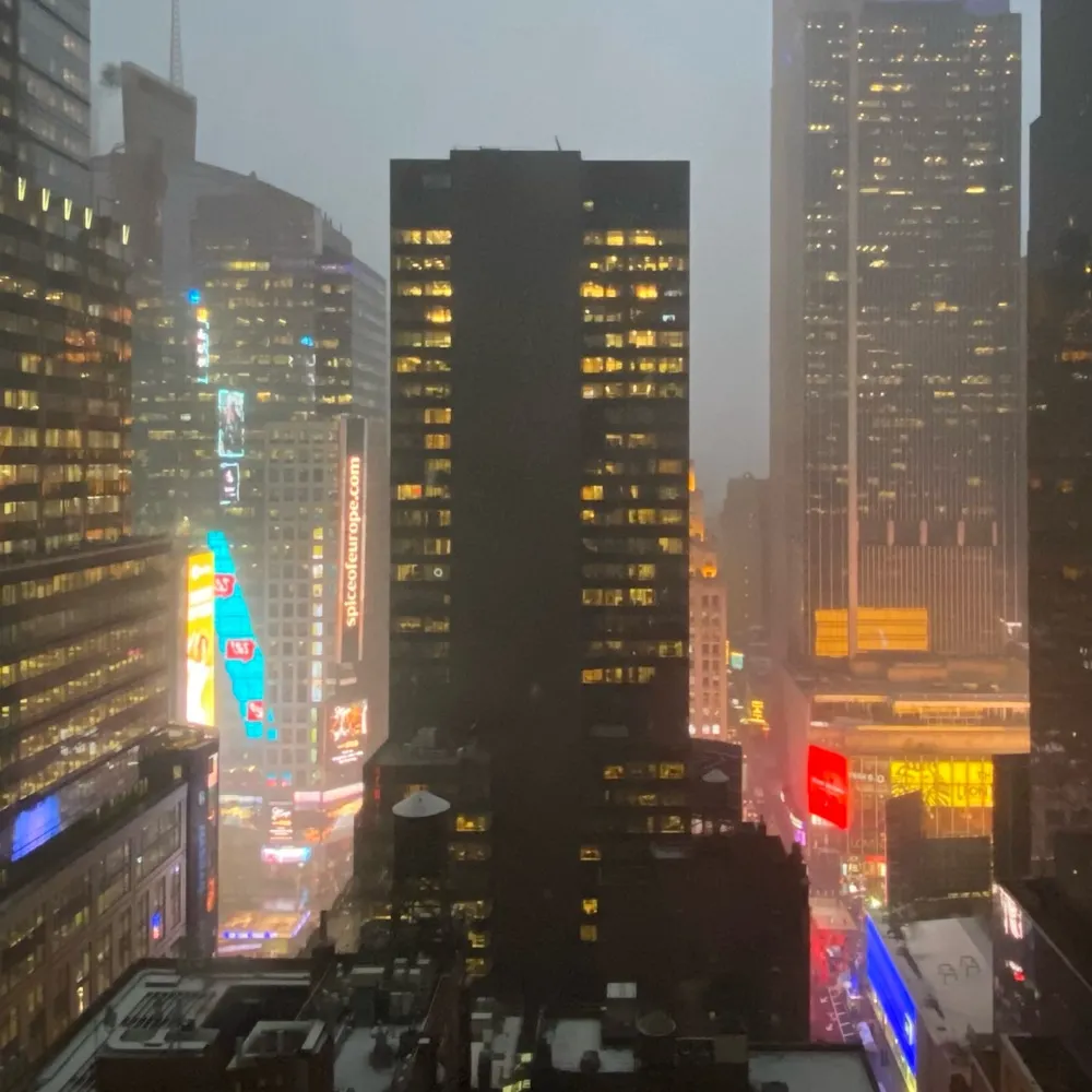 section9.bsky.social's profile picture