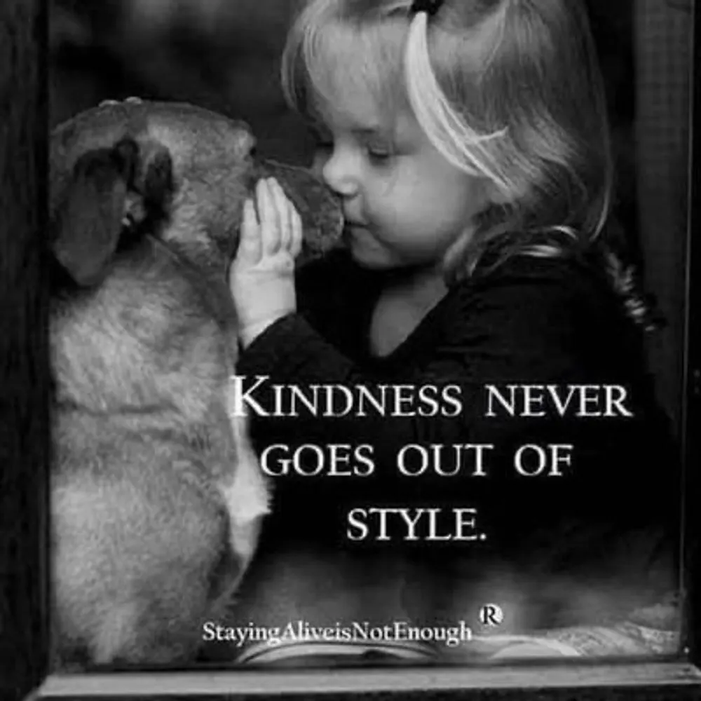 soziologin.bsky.social's profile picture