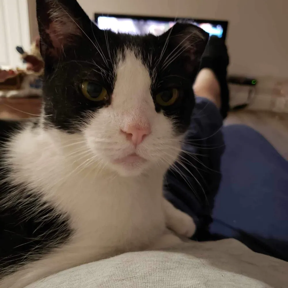 pdc23.bsky.social's profile picture