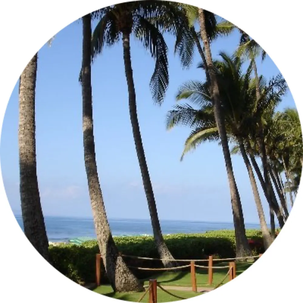 sgfbp.bsky.social's profile picture