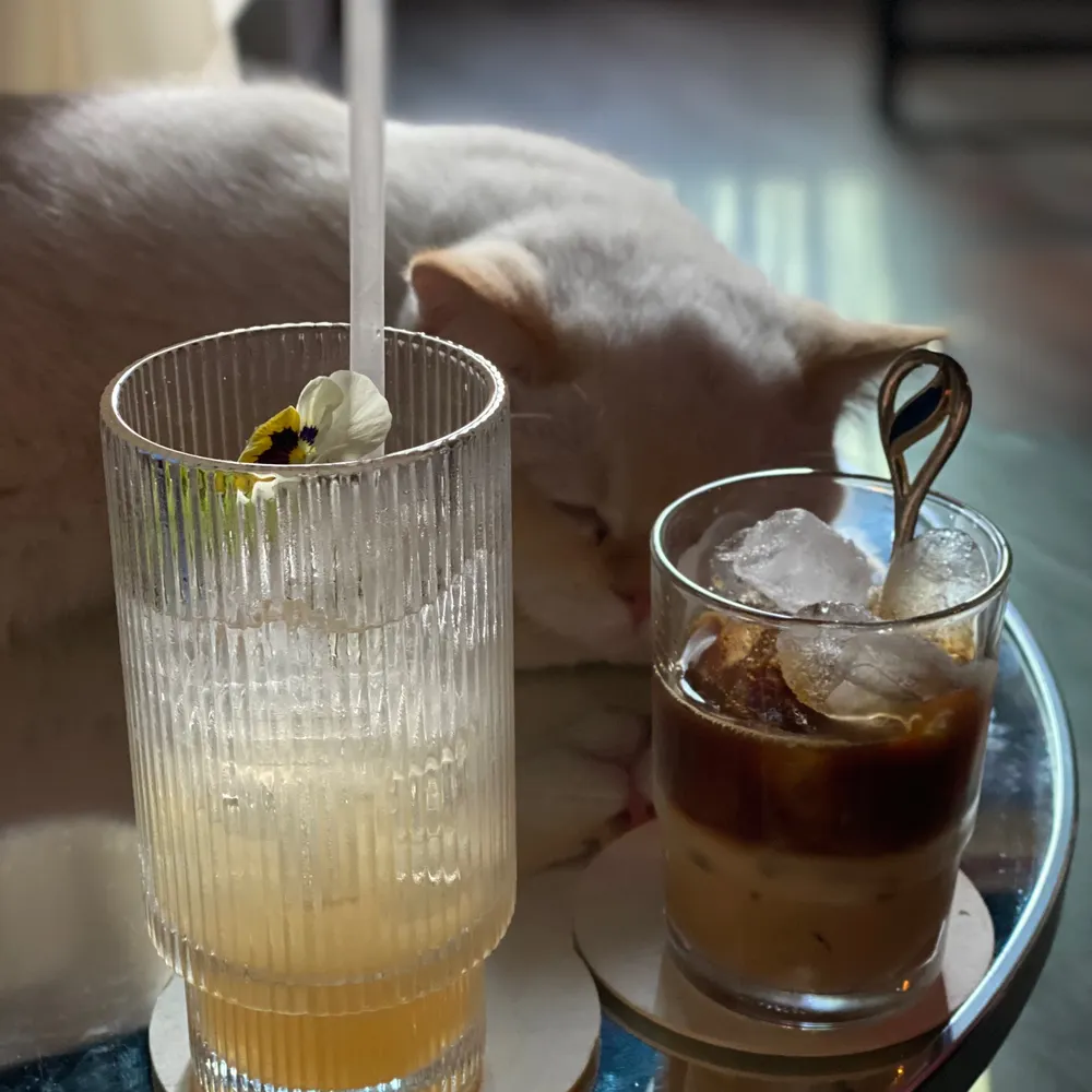 ggsake.com's profile picture