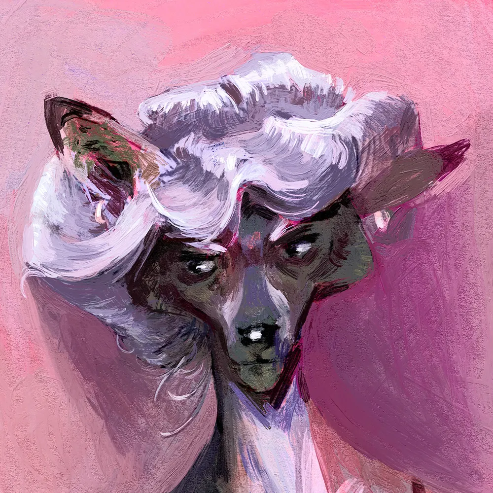 sigmaquack.bsky.social's profile picture