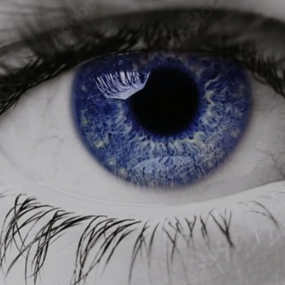 kiwihappy.bsky.social's profile picture