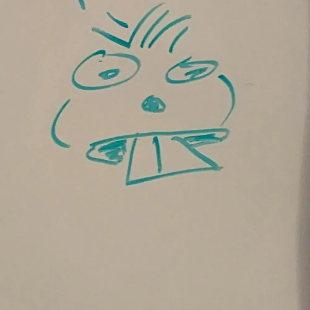 blairsandwich.bsky.social's profile picture