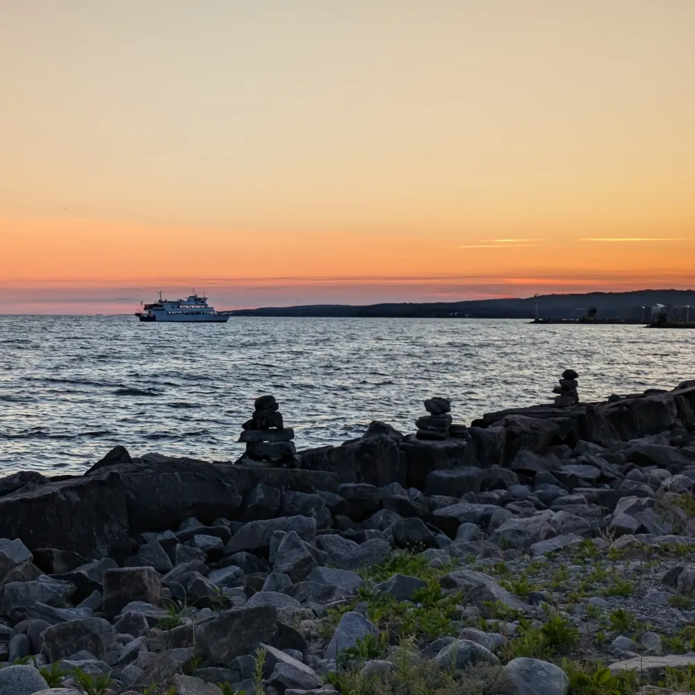 reluctantcat.bsky.social's profile picture