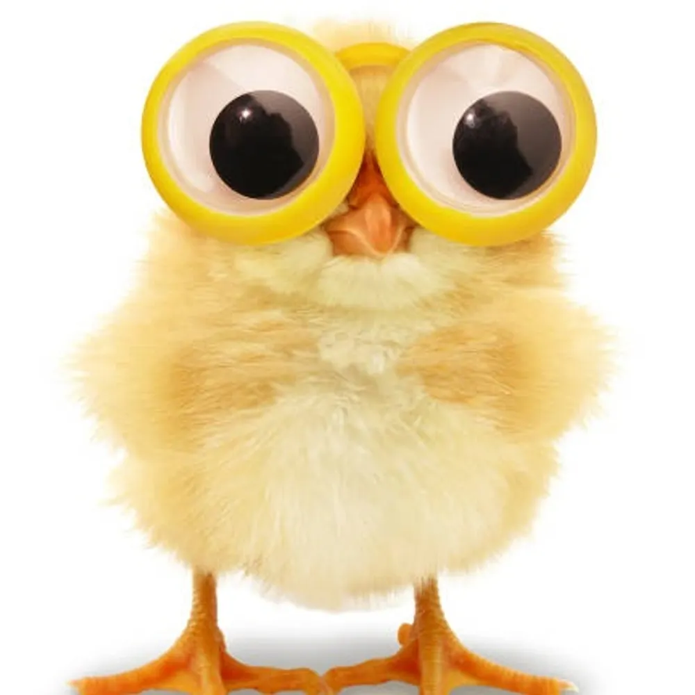 radicallefty.bsky.social's profile picture