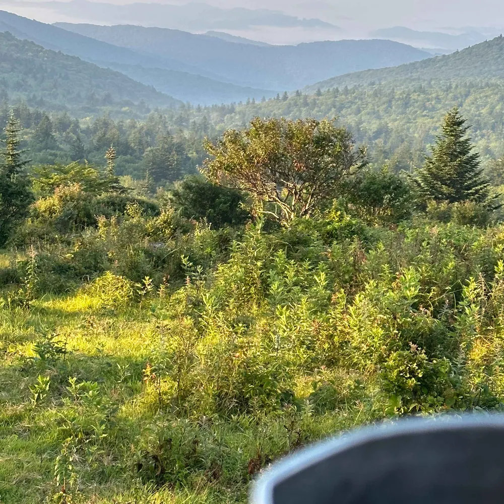 martinjr.bsky.social's profile picture