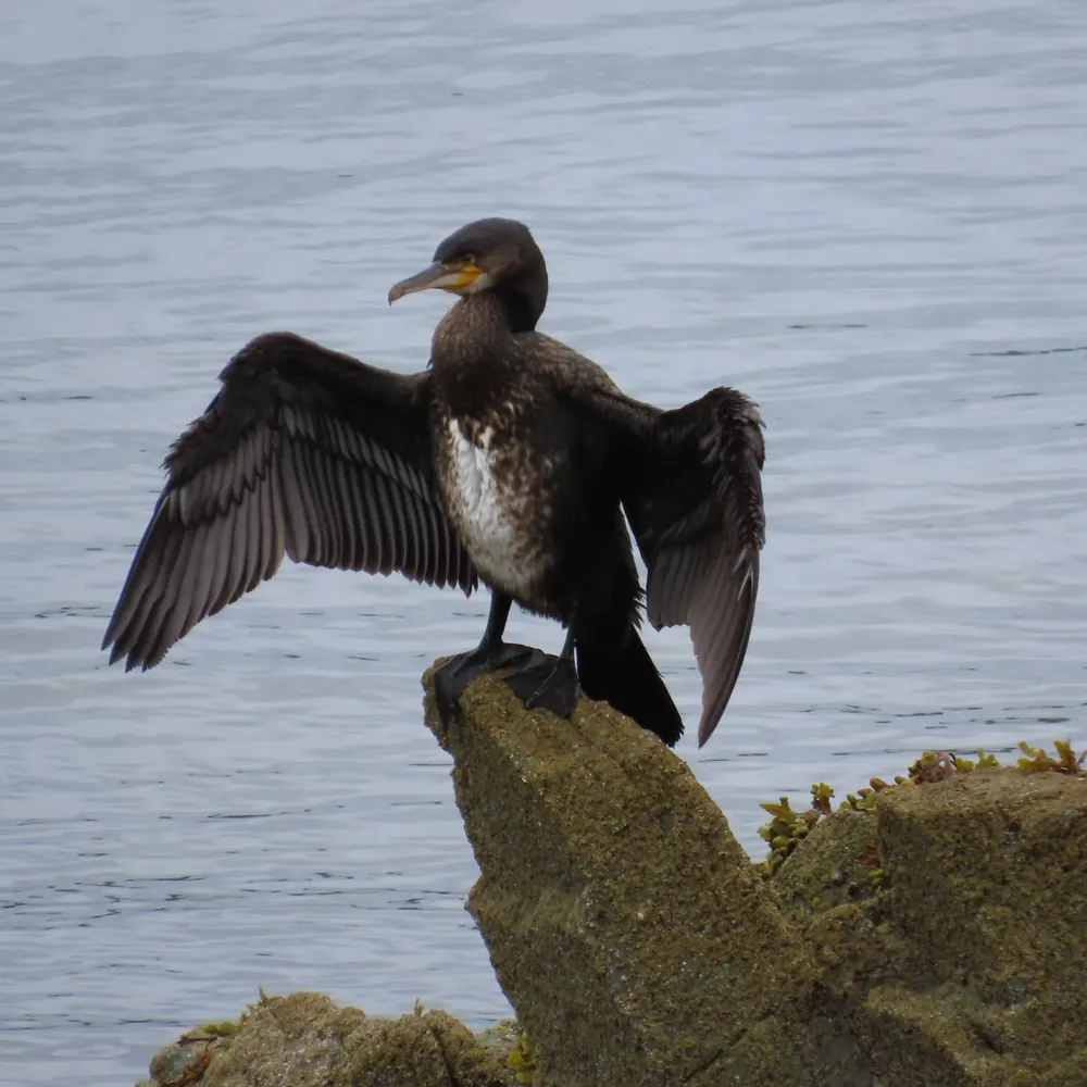 minesahalf.bsky.social's profile picture