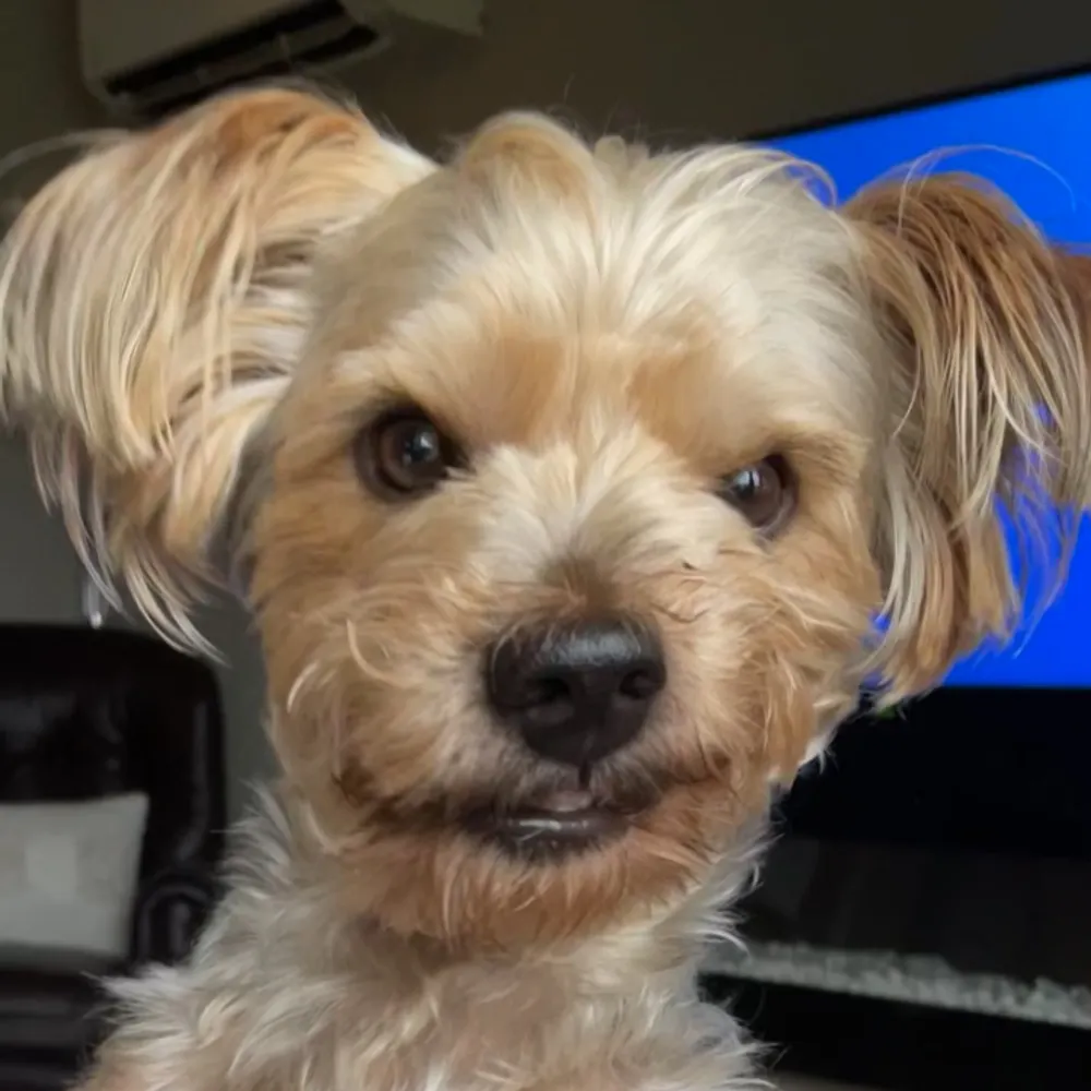 scarscraftyman62.bsky.social's profile picture