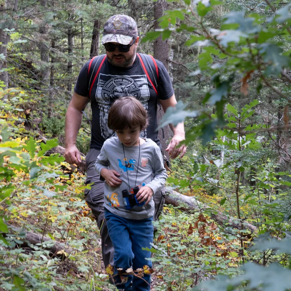 alexjanevski.bsky.social's profile picture