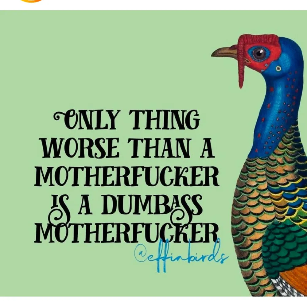 creedc3.bsky.social's profile picture