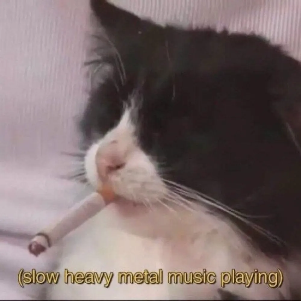 ambiguouswoman.bsky.social's profile picture