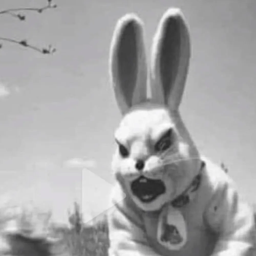 breuler.eurosky.social's profile picture