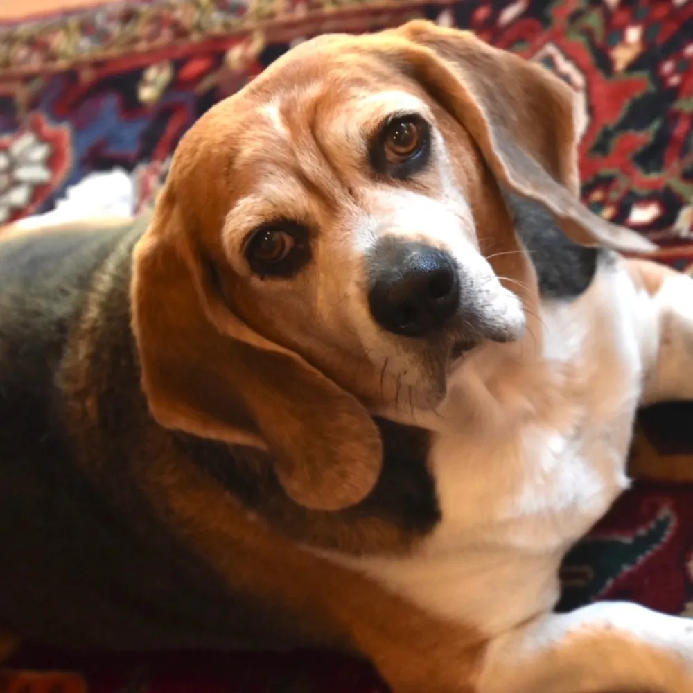 mmmccarthy.bsky.social's profile picture