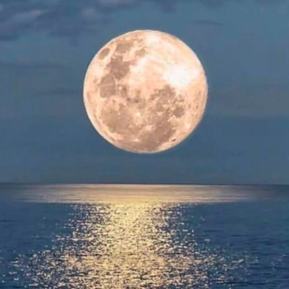 m00nstreake.bsky.social's profile picture