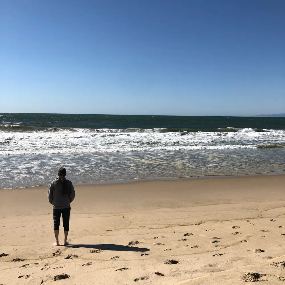 smudgiesmom.bsky.social's profile picture