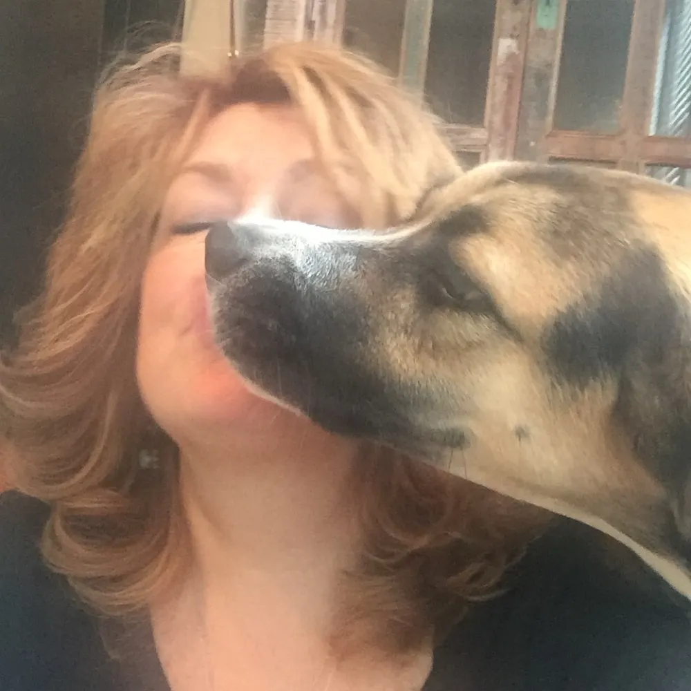 ccc757.bsky.social's profile picture