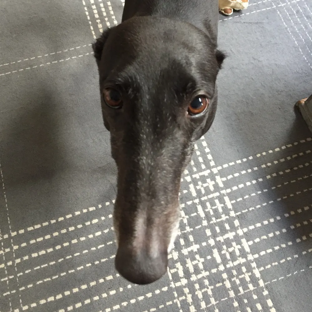 miztberri.bsky.social's profile picture