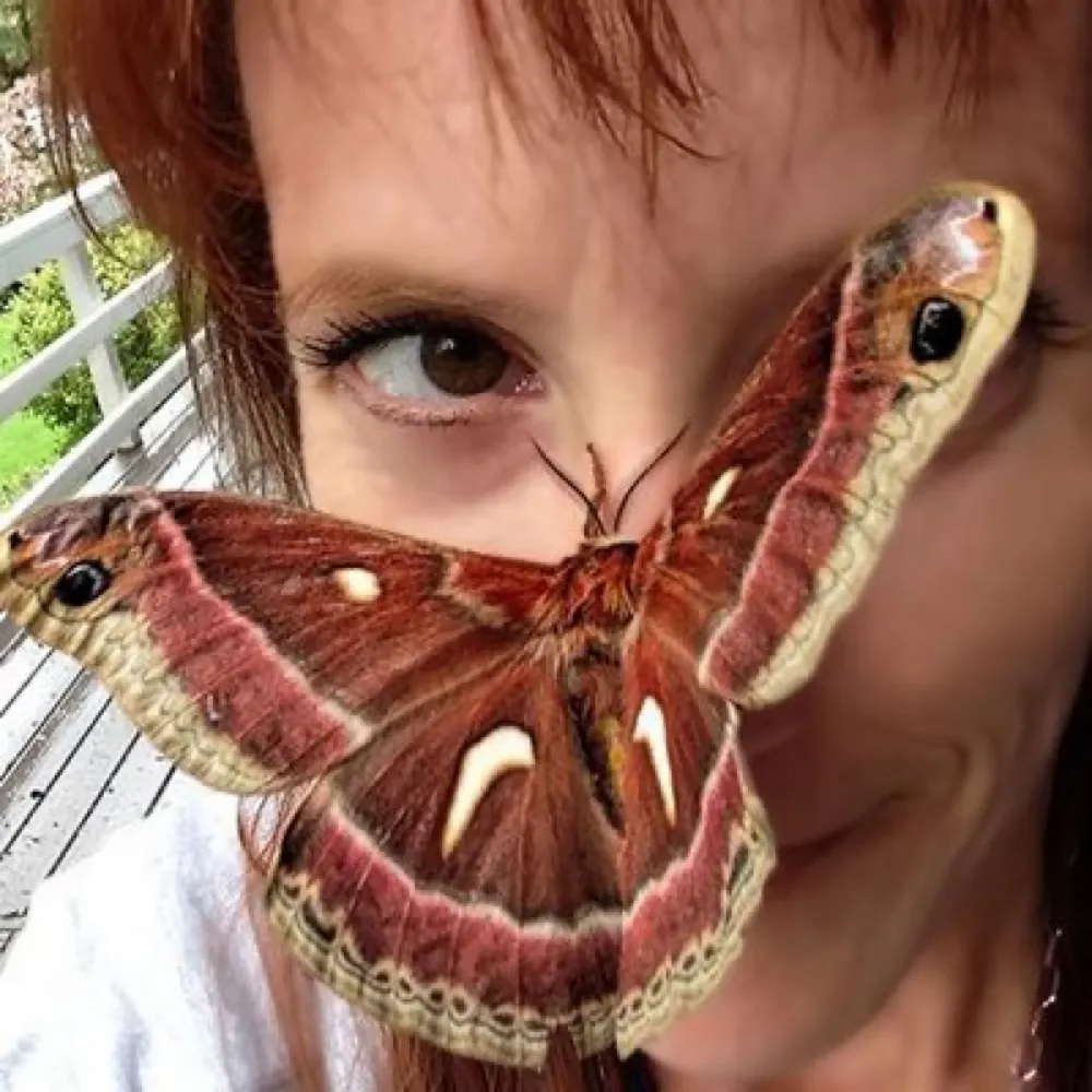 crawlieswithcri.bsky.social's profile picture