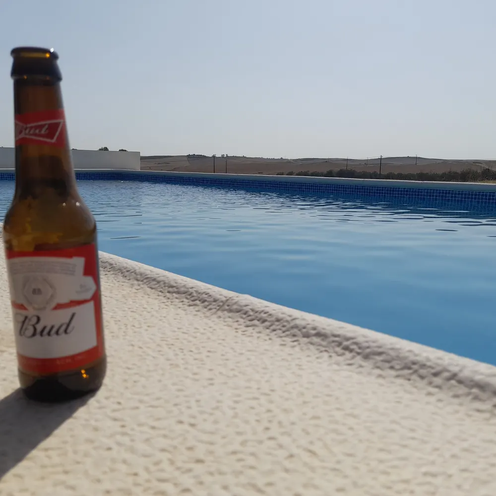 kinlika.bsky.social's profile picture