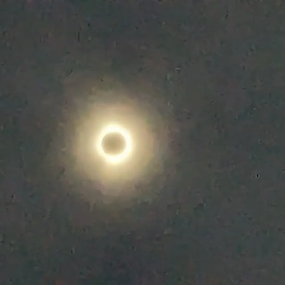 elkenson-sevven.bsky.social's profile picture