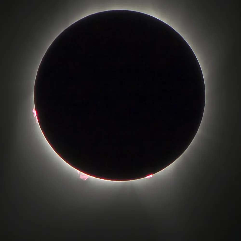 reddreadmike.bsky.social's profile picture