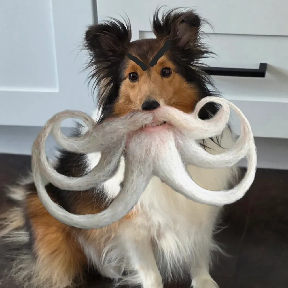 kappakatch21.bsky.social's profile picture