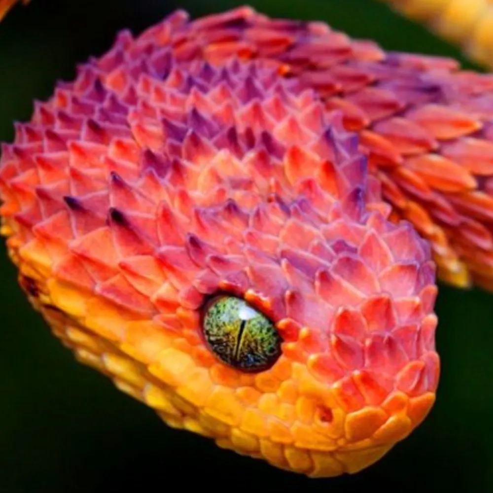 zenosanalytic.bsky.social's profile picture