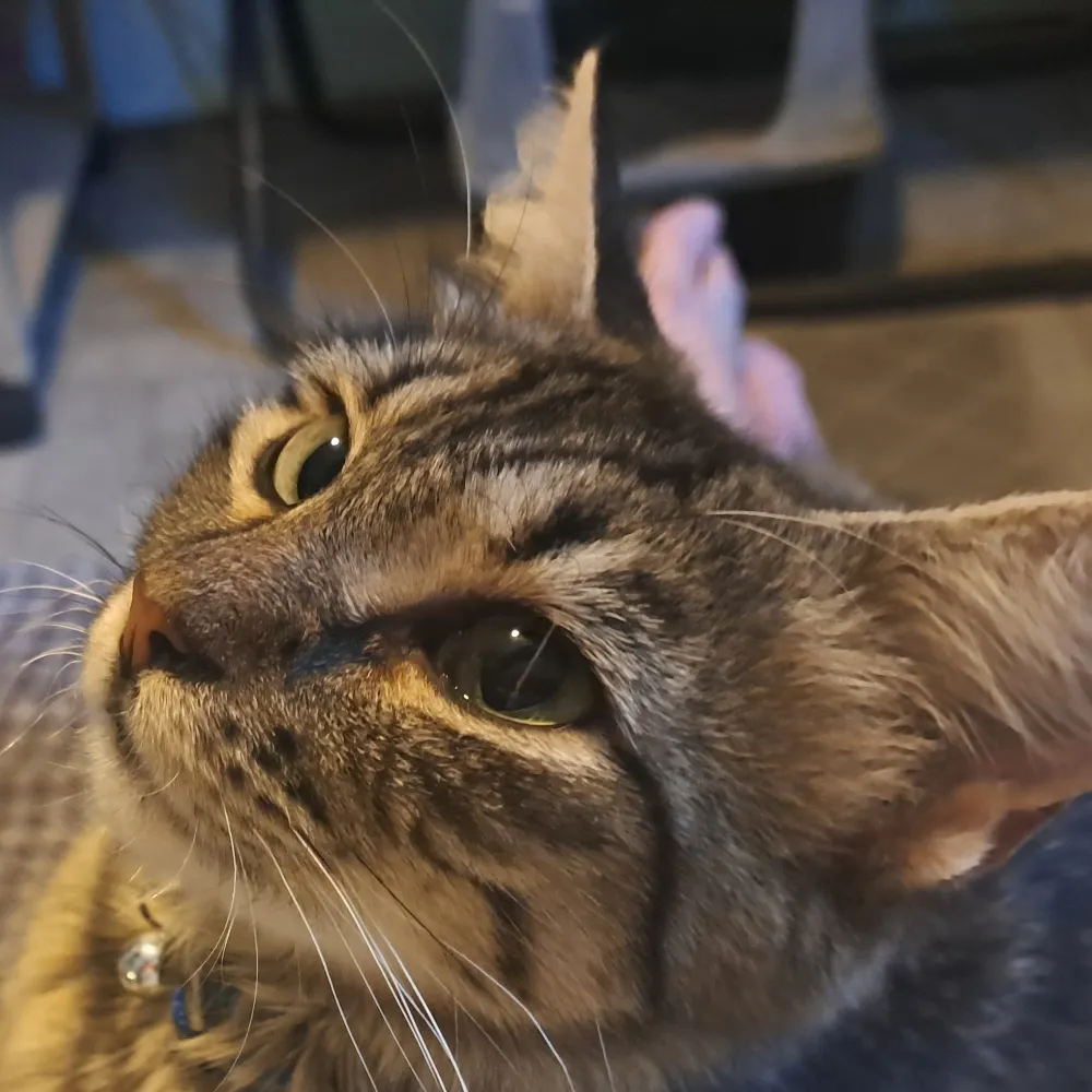 tocents.bsky.social's profile picture