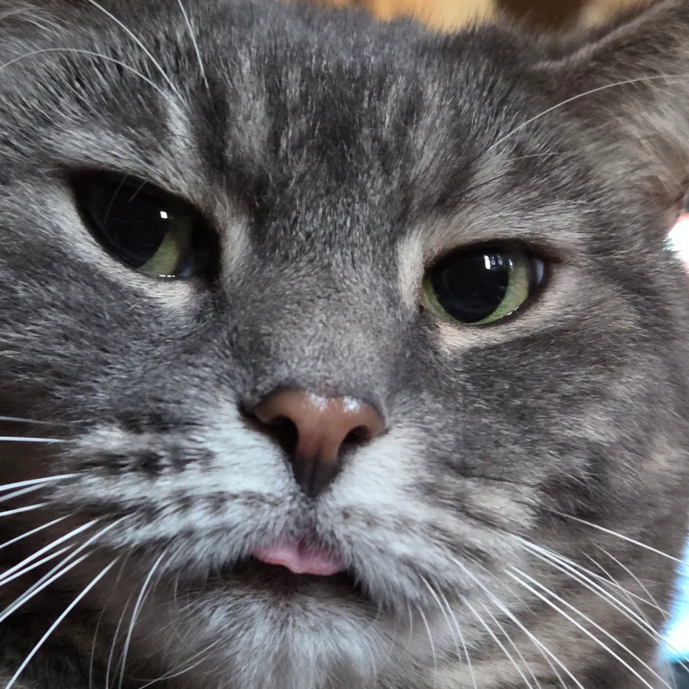 katemhs27.bsky.social's profile picture