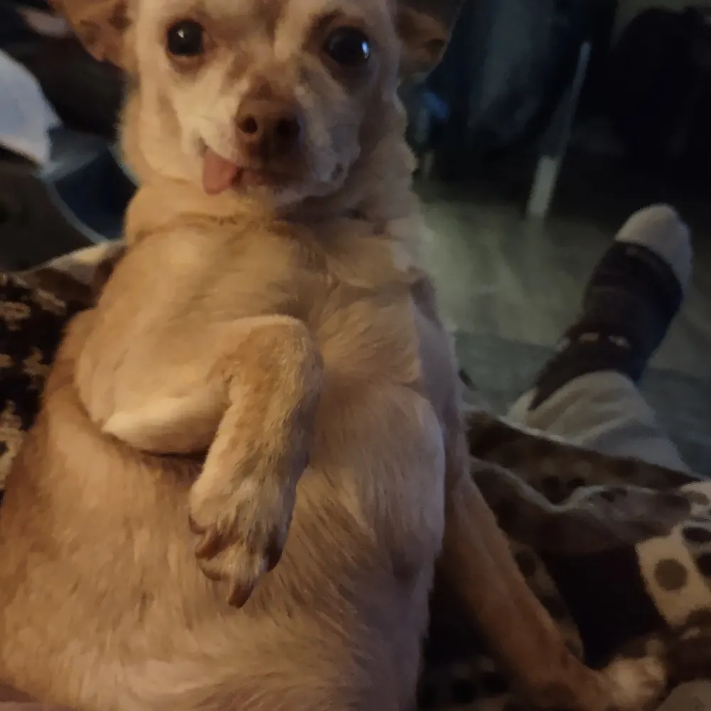 jds1000.bsky.social's profile picture