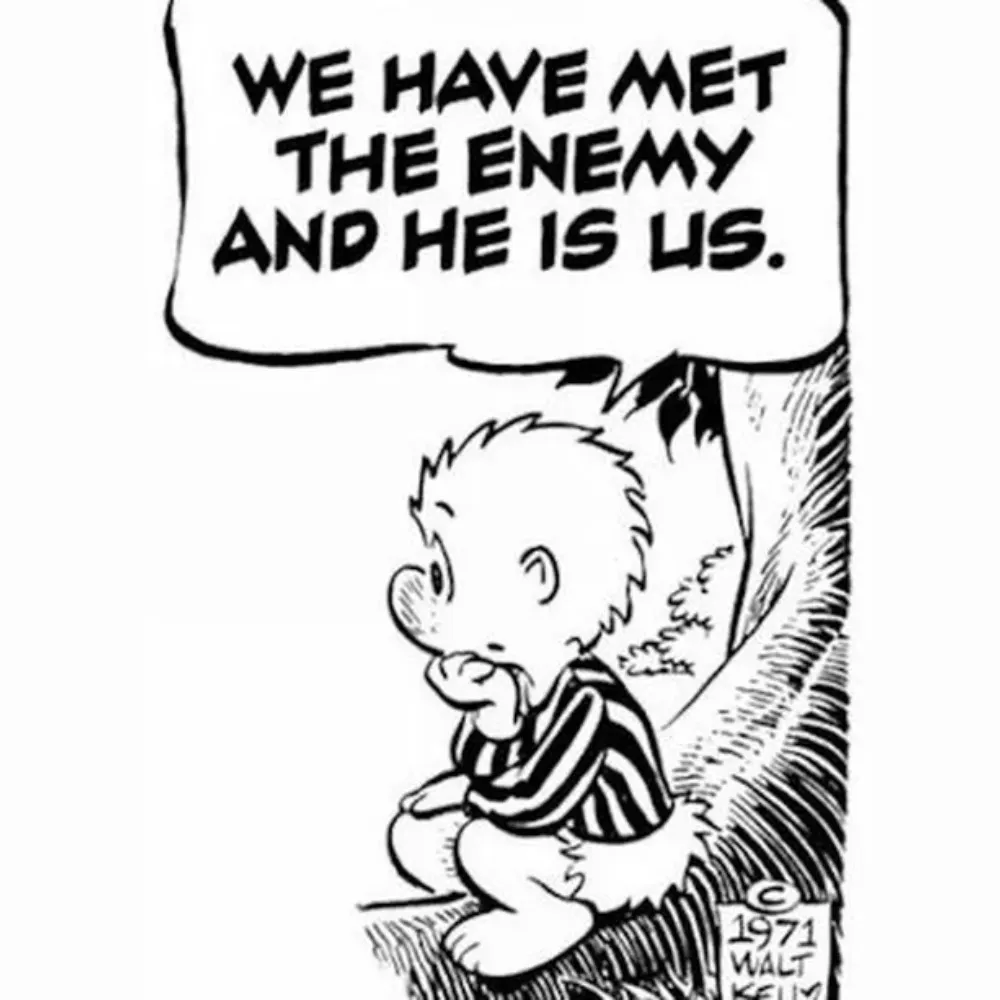 thewerle.bsky.social's profile picture