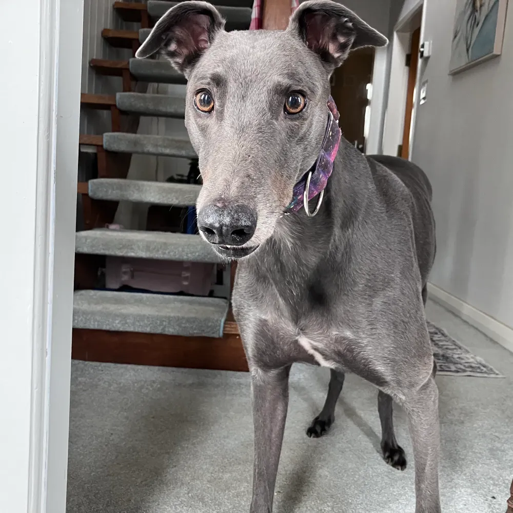 docrods.bsky.social's profile picture