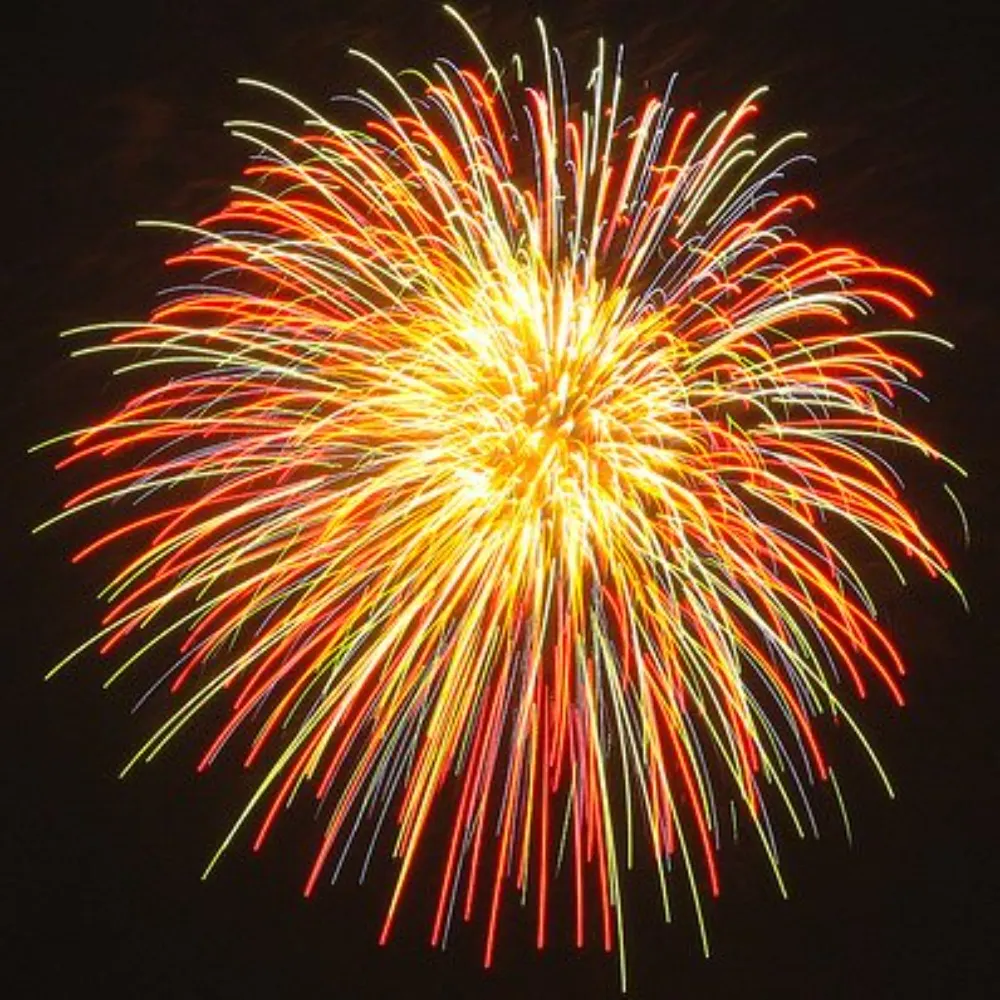 ogg921.bsky.social's profile picture