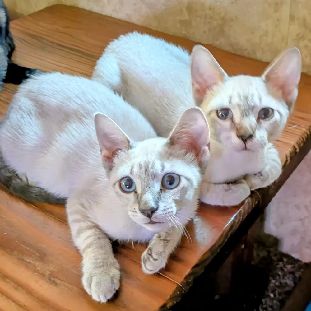 discusted1957.bsky.social's profile picture