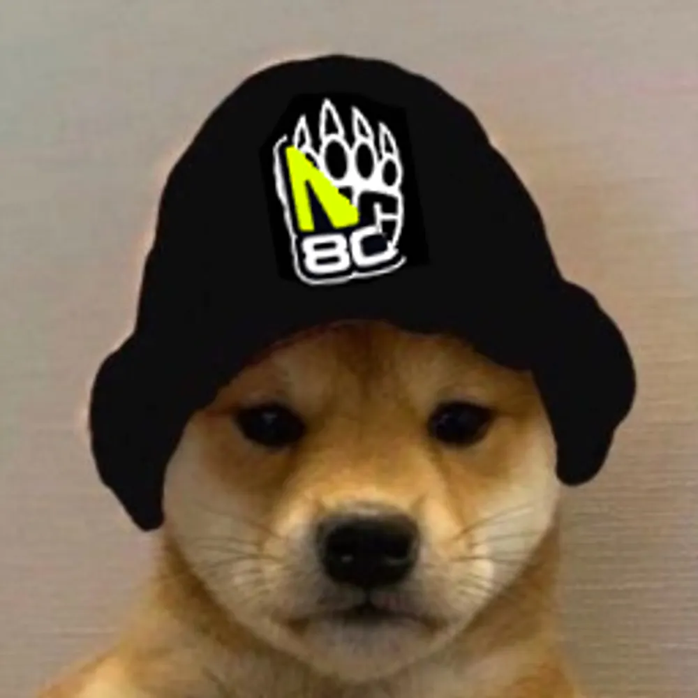 saneeee.bsky.social's profile picture