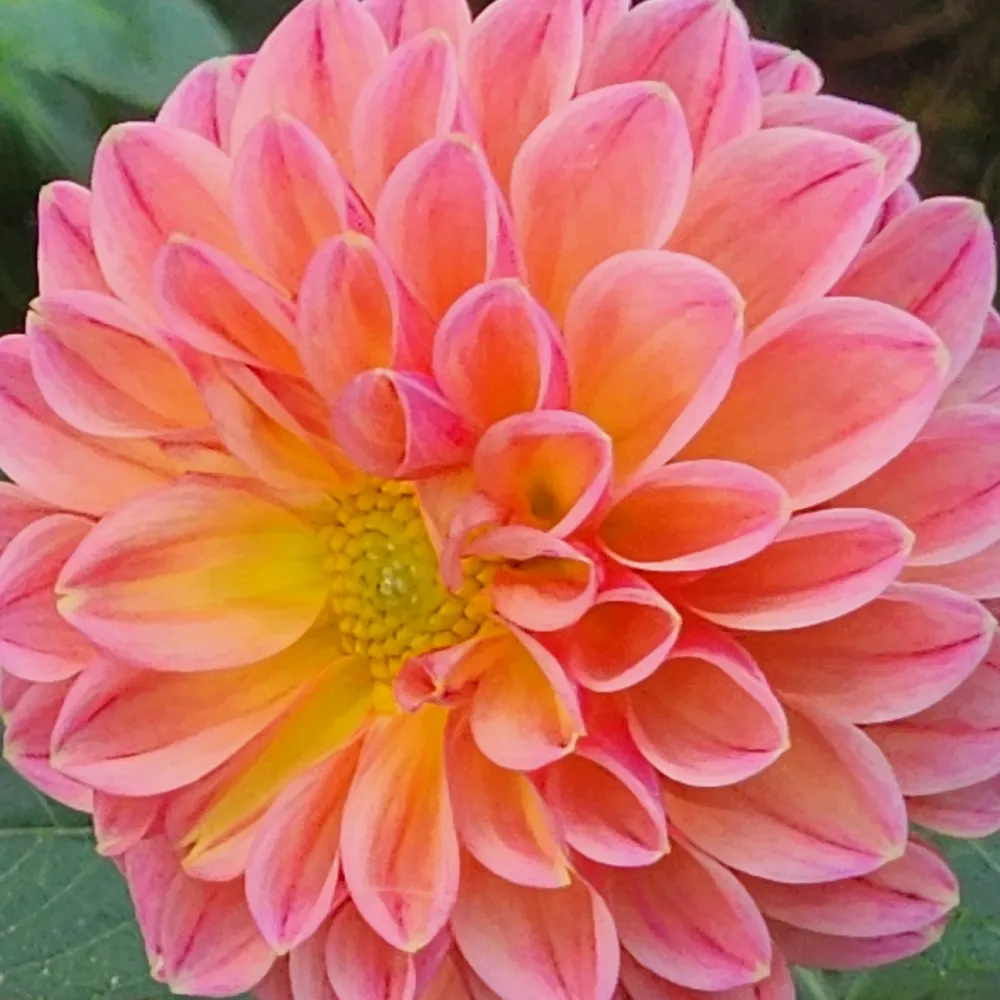 nathanielshawn.bsky.social's profile picture