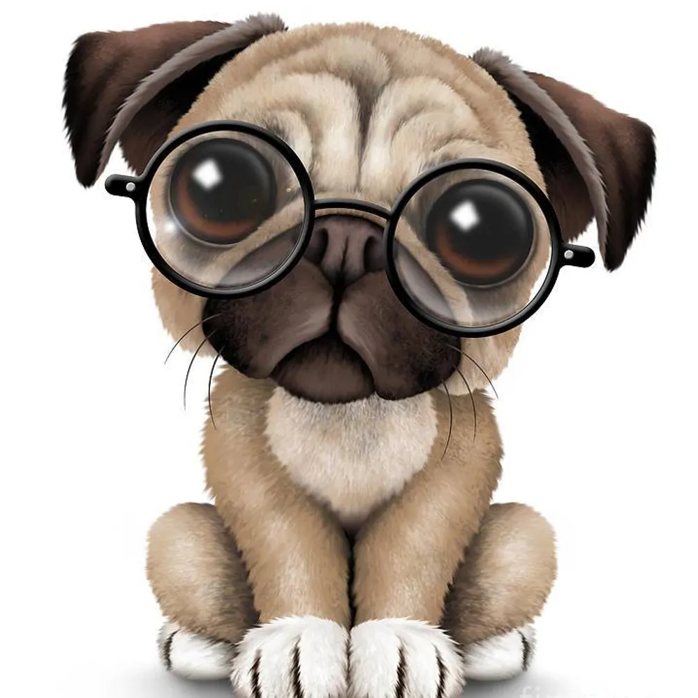 jphungtop.bsky.social's profile picture