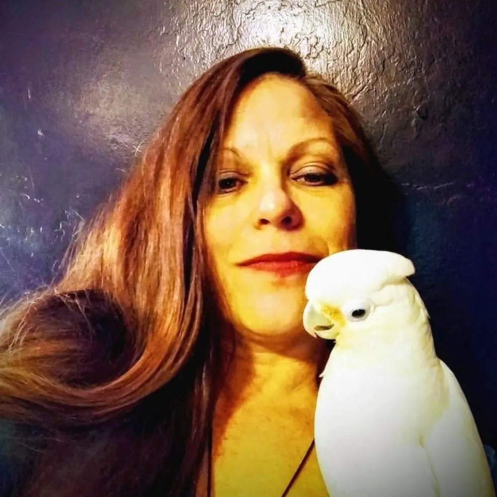 starrfire71.bsky.social's profile picture